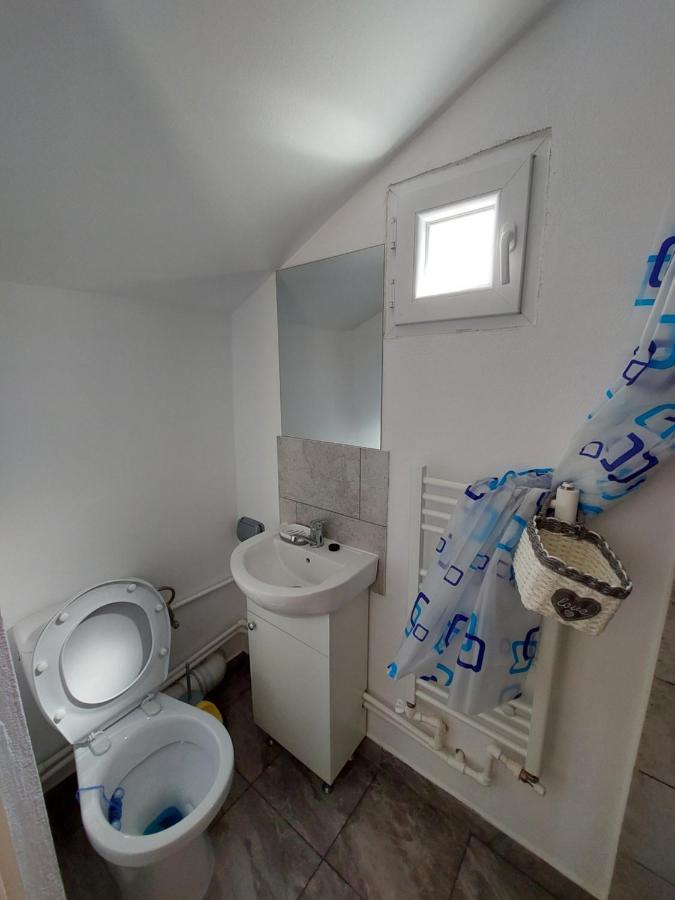 Cabana Casa Lu'Baciu Arpaşu de Sus Exterior foto