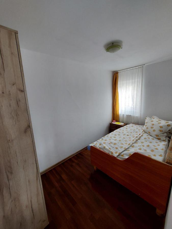 Cabana Casa Lu'Baciu Arpaşu de Sus Exterior foto